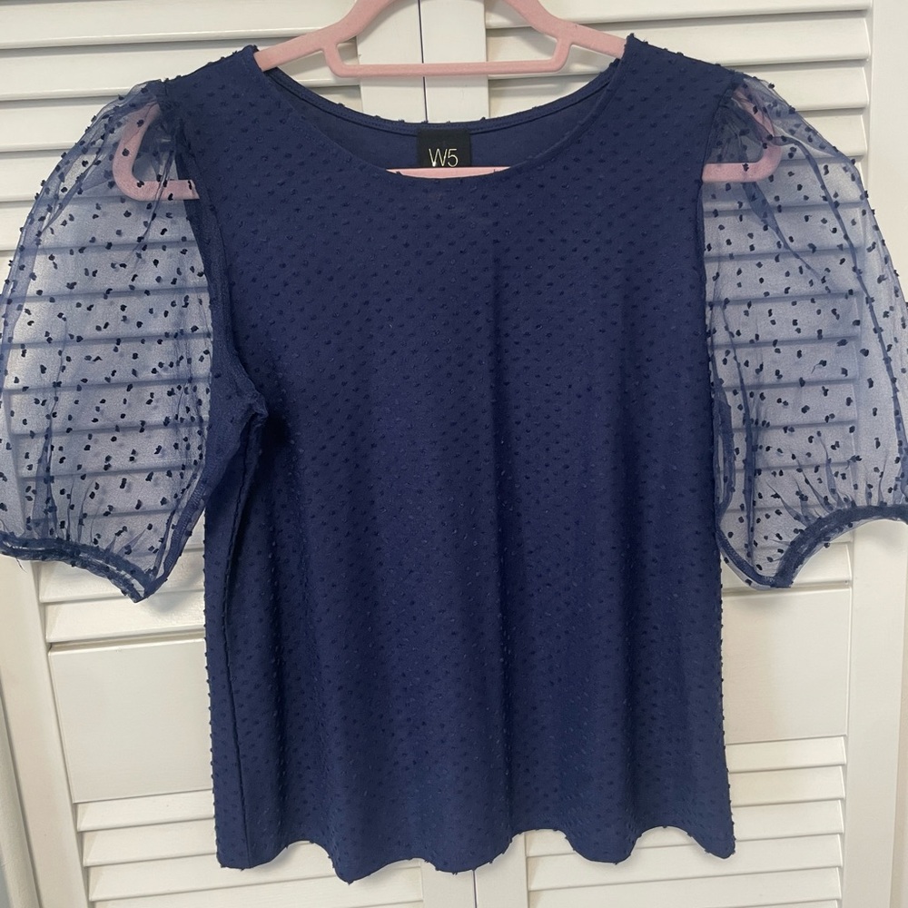 Blue adorable top with sheer puffy sleeves. New never worn.